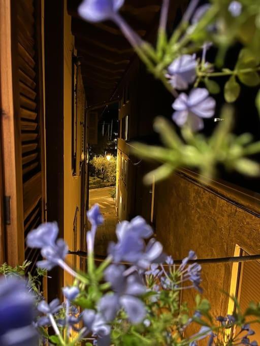 La Piccola Casa Al Lago - Intera Casa Con 3 Camere E 2 Box Salò Kültér fotó