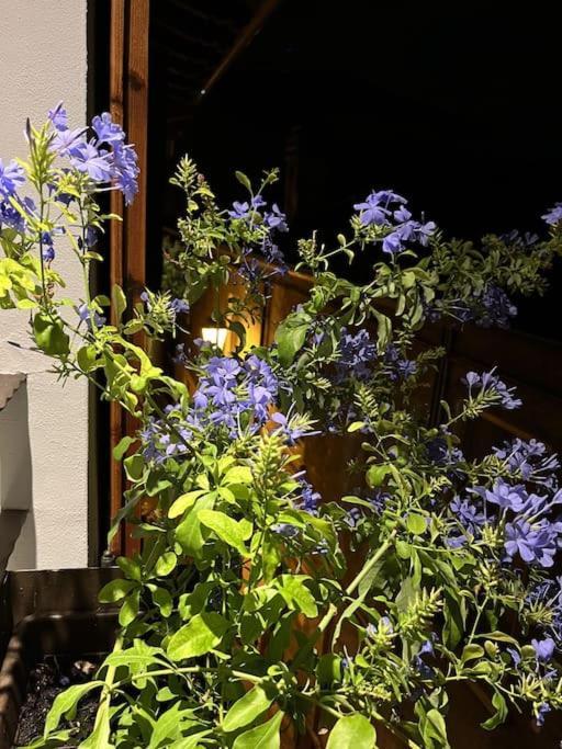 La Piccola Casa Al Lago - Intera Casa Con 3 Camere E 2 Box Salò Kültér fotó