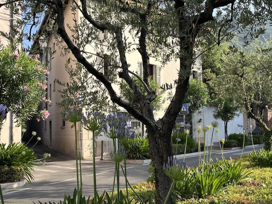 La Piccola Casa Al Lago - Intera Casa Con 3 Camere E 2 Box Salò Kültér fotó